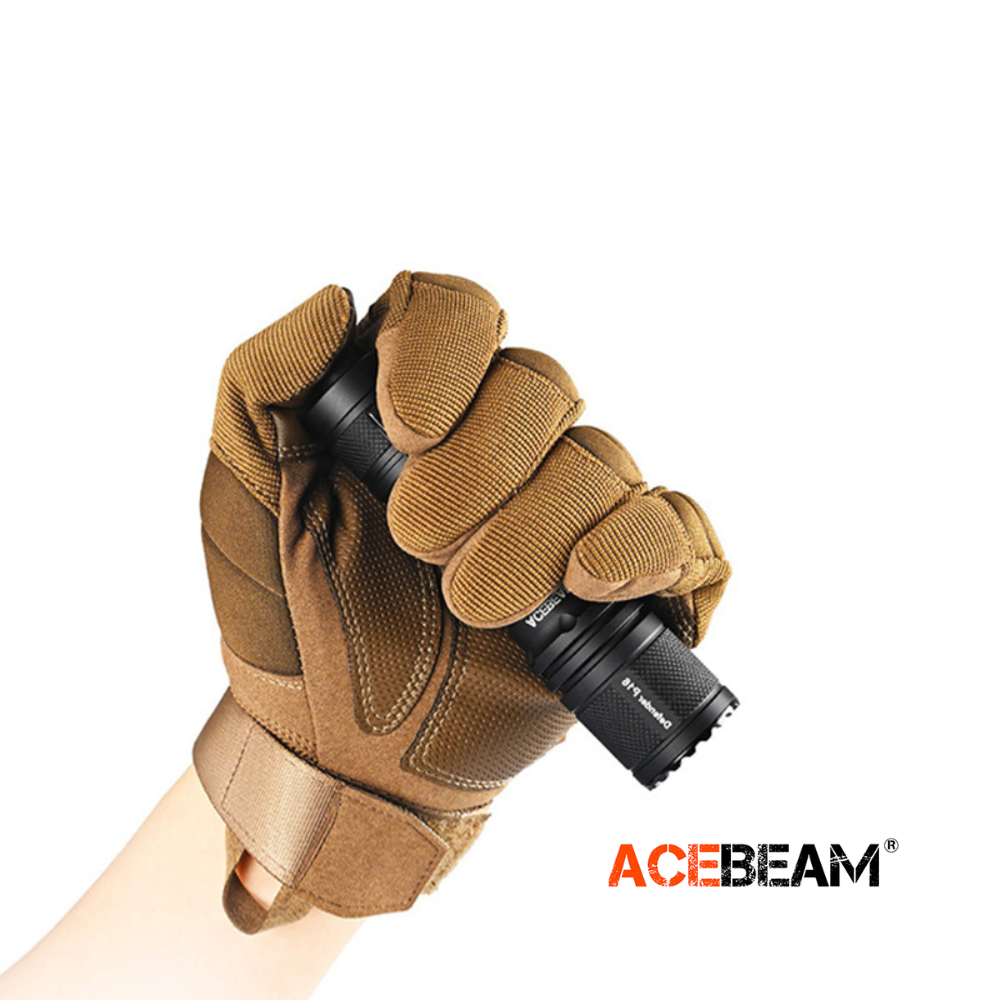 ascim_acebeam_p16_2
