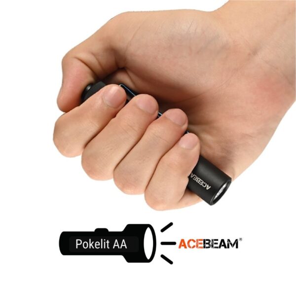 ascim_acebeam_pokelitaa_3